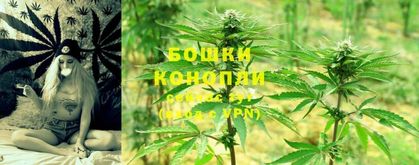 стафф Богородск