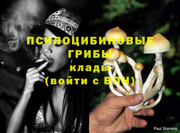 стафф Богородск