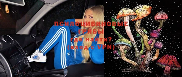 марки lsd Богородицк