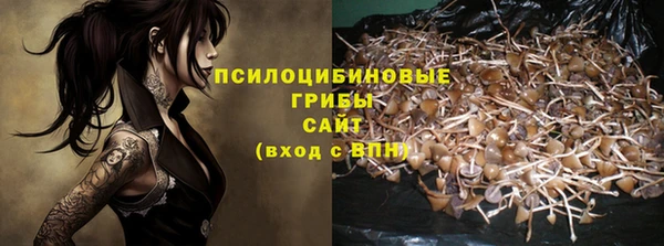 бошки Богданович