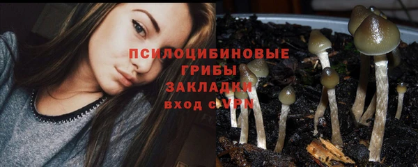 альфа пвп Новодвинск