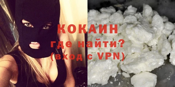 бошки Богданович